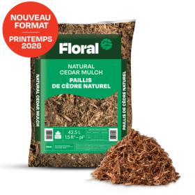 Paillis de cèdre naturel