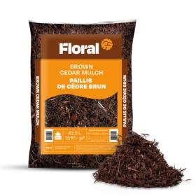 Paillis de cèdre brun