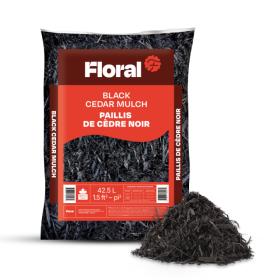 Paillis de cèdre noir